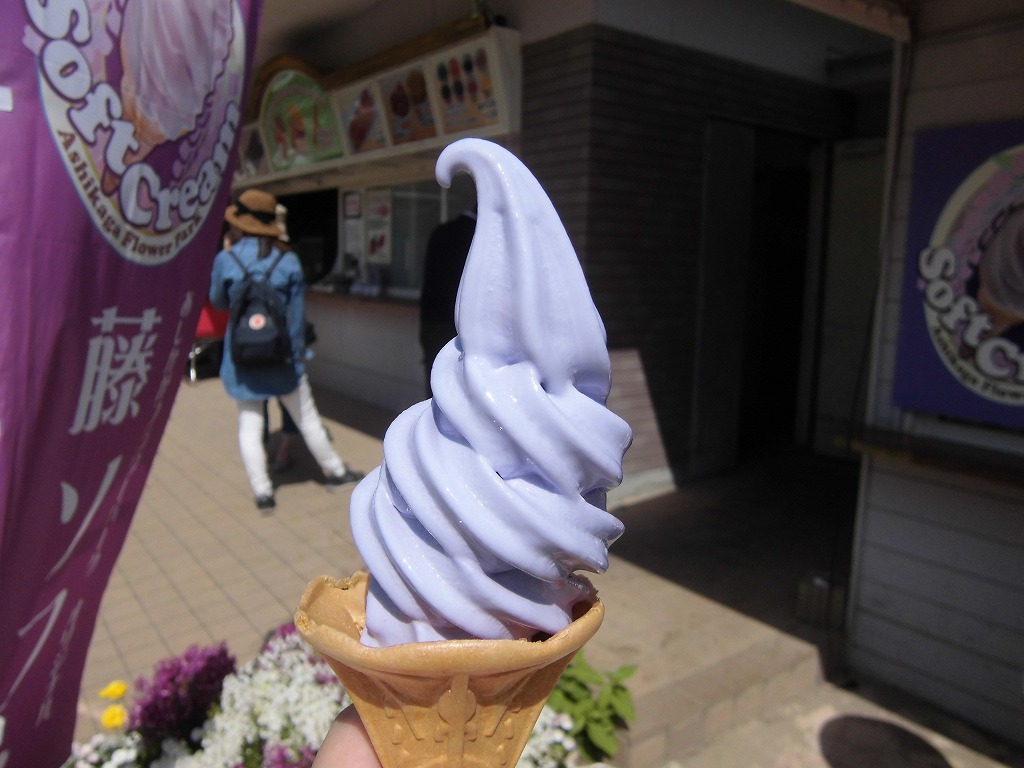 2015-5-2-ashikaga-flowerpark-0858