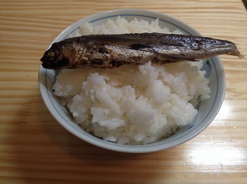 dashi-douraku-tobiuo-eating-1487